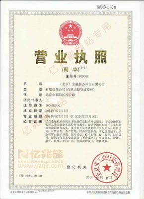 金融服务外包公司转让的运作机制与关键考量 金融业务流程外包市场的深度剖析
