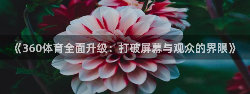 《360体育全面升级：打破屏幕与观众的界限》