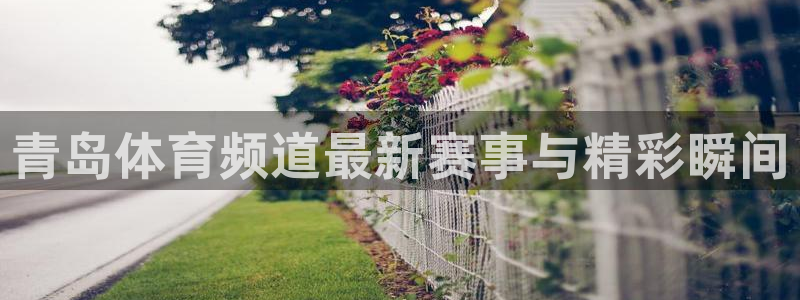 青岛体育频道最新赛事与精彩瞬间