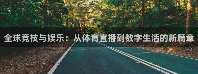 全球竞技与娱乐：从体育直播到数字生活的新篇章